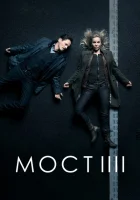 Мост (2011) смотреть онлайн бесплатно