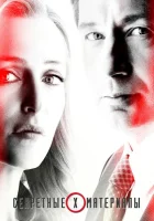 Секретные материалы (1993) смотреть онлайн бесплатно