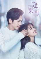  Любовники из волшебной страны (2020) смотреть онлайн бесплатно