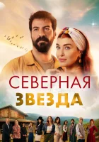  Полярная звезда (2019) смотреть онлайн бесплатно