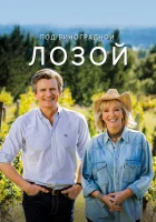  Под виноградными лозами (2021) смотреть онлайн бесплатно