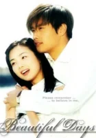  Чудесные дни (2001) смотреть онлайн бесплатно