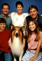  Новые приключения Лесси (1989) смотреть онлайн бесплатно