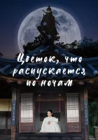  Цветок, что распускается по ночам (2024) смотреть онлайн бесплатно