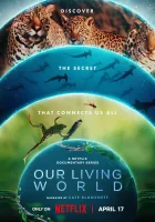  Наш живой мир (2024) смотреть онлайн бесплатно