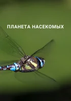  Планета насекомых (2022) смотреть онлайн бесплатно