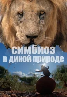  Симбиоз в дикой природе (2023) смотреть онлайн бесплатно