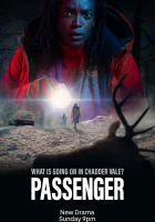  Пассажир (2024) смотреть онлайн бесплатно