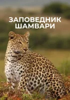  Заповедник Шамвари (2018) смотреть онлайн бесплатно