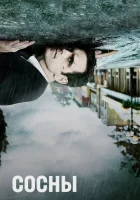  Сосны (2015) смотреть онлайн бесплатно