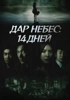  Дар небес: 14 дней (2014) смотреть онлайн бесплатно