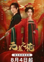  Леди-командир (2024) смотреть онлайн бесплатно