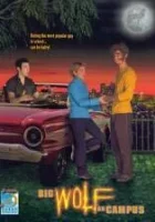  Томми-оборотень (1999) смотреть онлайн бесплатно