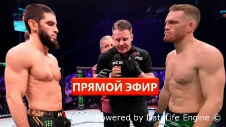 UFC 322 прямая трансляция 16 ноября 2025 смотреть онлайн бесплатно