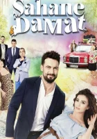  Замечательный зять (2016) смотреть онлайн бесплатно