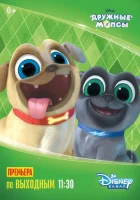  Дружные мопсы (2017) смотреть онлайн бесплатно