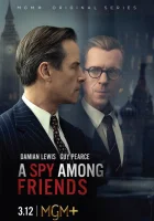 Шпион среди друзей (2022) смотреть онлайн бесплатно