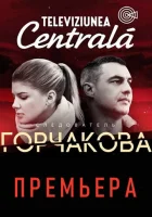  Следователь Горчакова (2019) смотреть онлайн бесплатно