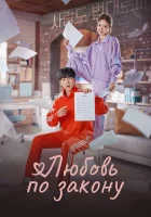  Любовь по закону (2022) смотреть онлайн бесплатно