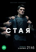  Стая (2022) смотреть онлайн бесплатно