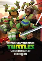  Черепашки ниндзя (2012) смотреть онлайн бесплатно